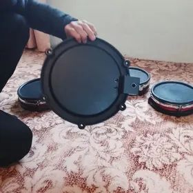 alesis DM 10 baraban