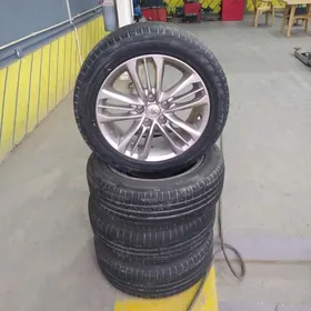 Aziýada diska arassa