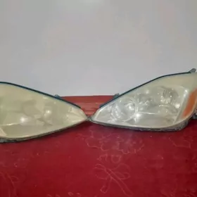 sine.  arginal.   fara