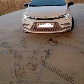 Toyota Corolla 2021