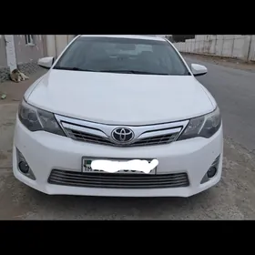 palta fara  yagdayı yagshy