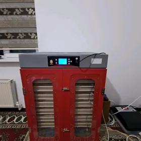 Yumurtga cykaryp beryan