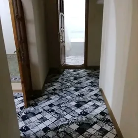 SATLYK JAÝ ARZAN GYSSAGLY 