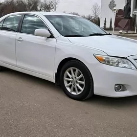 Toyota Camry 2010