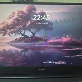 HUAWEİ Matebook D14