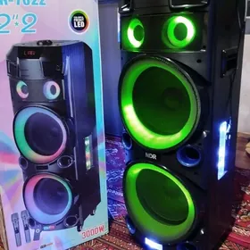 PASDI TAZE  KALONKA GYSSAGLY