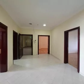 ШАЕЛЫ РУХНАМА ЭЛИТКА