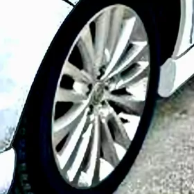 limited diska 17 lik