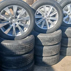 ahlli görinis disga lar