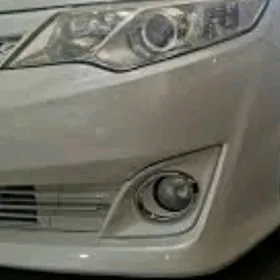 camry palta