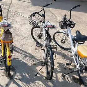 tigirler welsepitler