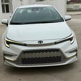 Toyota Corolla 2023