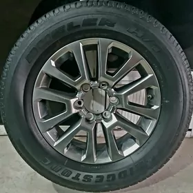 PRADO 1 ŞTUK ZAPASKA