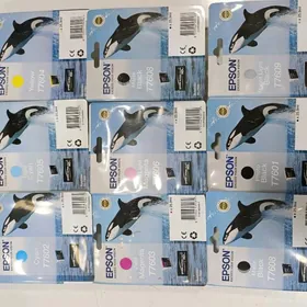 Epson P600 kartrij 7601