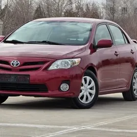 Toyota Corolla 2011