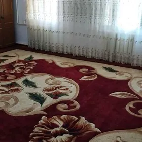 buzmeyin 40 yyllyk 16 sotok