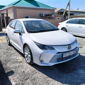 Toyota Corolla 2020