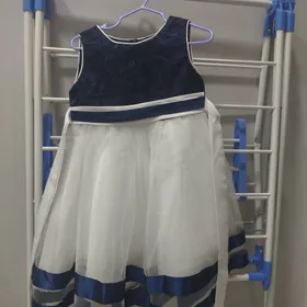 тазе койнек