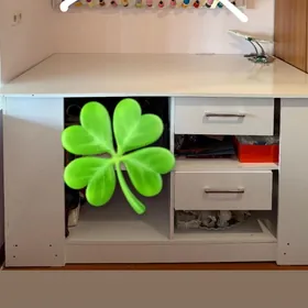 stol we koynek asylyan