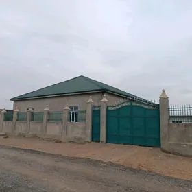 Anew plan jaý oputny