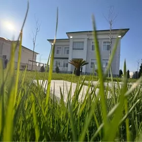 Çyzgy Kotedj Çoganly