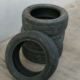 kapsen teker pakrishka