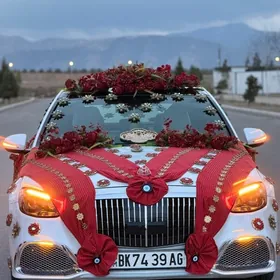 Mers Toy Bezegler we masyn toy hyzmaty howly podyezd bezeg Mersedes caga jywoy gül amatly bahadan