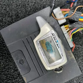 macicar pult otlayan