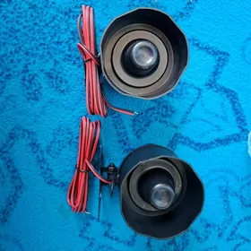 Srena  sany magcigar pultlar