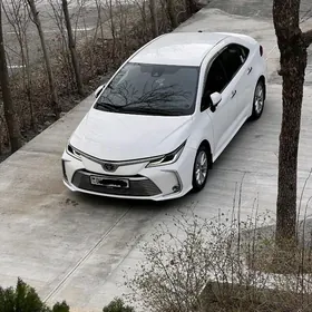 Toyota Corolla 2020