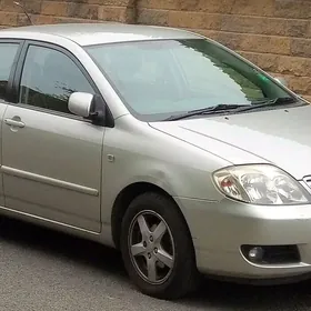 zapchaslyk ucin karolla