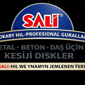 MAŞYNLY DASTAWŞİK