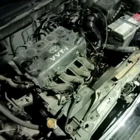 Corolla 2004 haliji zapcas