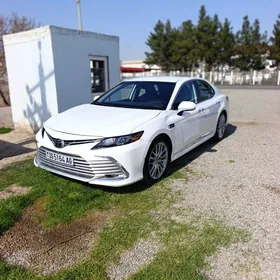 Toyota Camry 2020