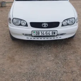 Toyota Corolla 2000