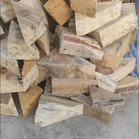 Ağaç.Gyýak.Kesik.