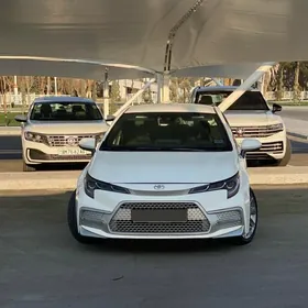 Toyota Corolla 2021