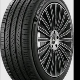 michelin pakryshka