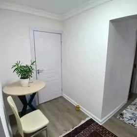 Бизмеин томатный 4 отог