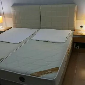 Spalniy Спалний Olimpiy Krawat