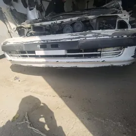 Carona carina e pirmera zapjas