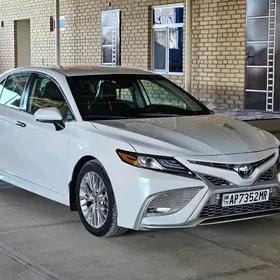 Toyota Camry 2020