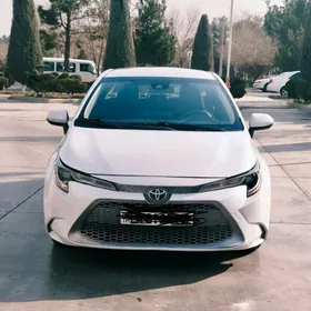 Toyota Corolla 2021