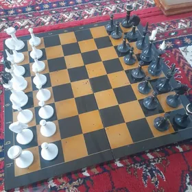 Шахматы СССР