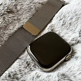 Apple watch 7 stainless steel