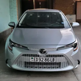 Toyota Corolla 2020