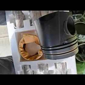 gilza polşun kolsa pals