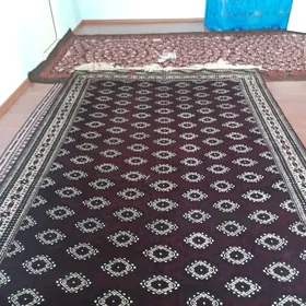 gokje dyrnakgol gara haly