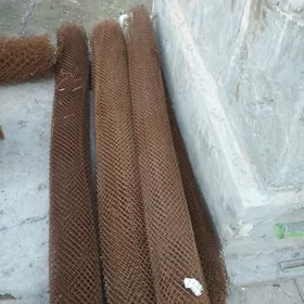 Setga setka Towuk ketek