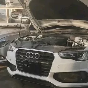 Zakaz dubai awto śaylary